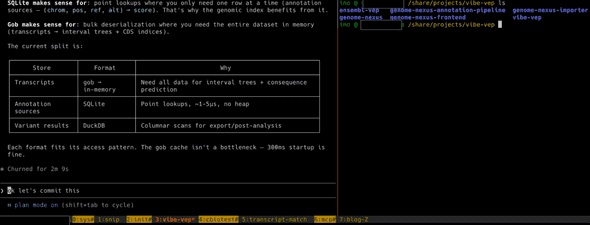 tmux session with multiple Claude Code windows